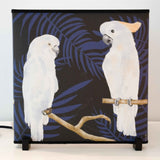 Scatola Luminosa CACATUA ALBA